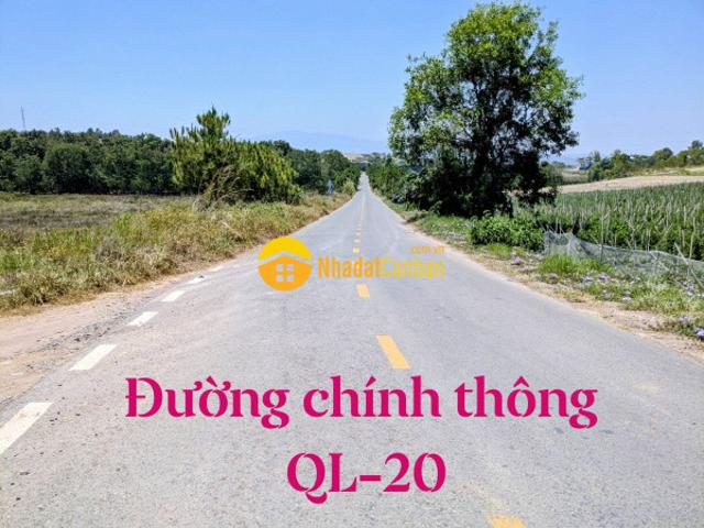 Mặt bằng bán
