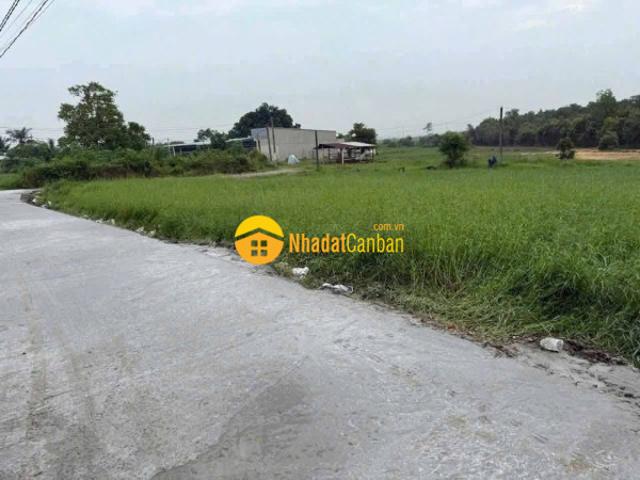 Mặt bằng bán