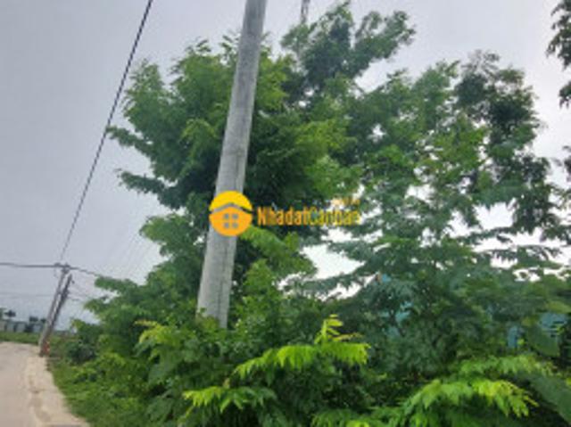 Mặt bằng bán