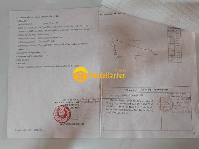 Mặt bằng bán