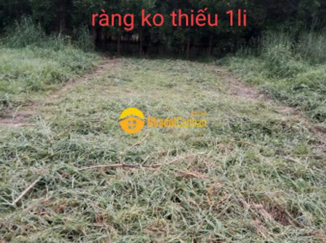 Mặt bằng bán
