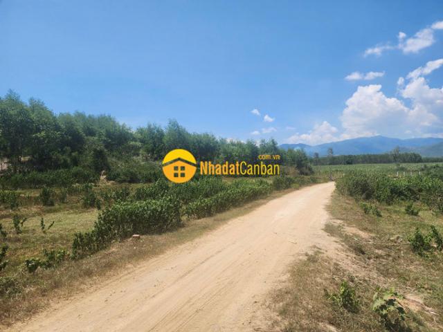 Mặt bằng bán