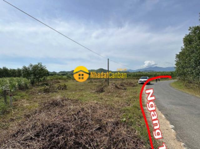 Mặt bằng bán