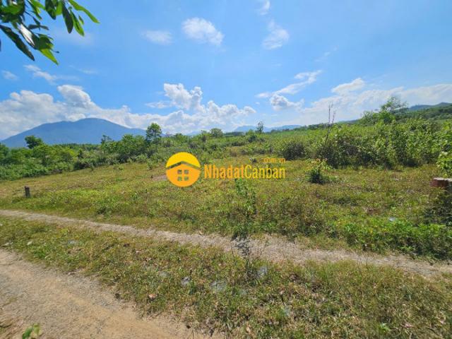 Mặt bằng bán
