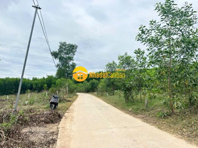 Mặt bằng bán