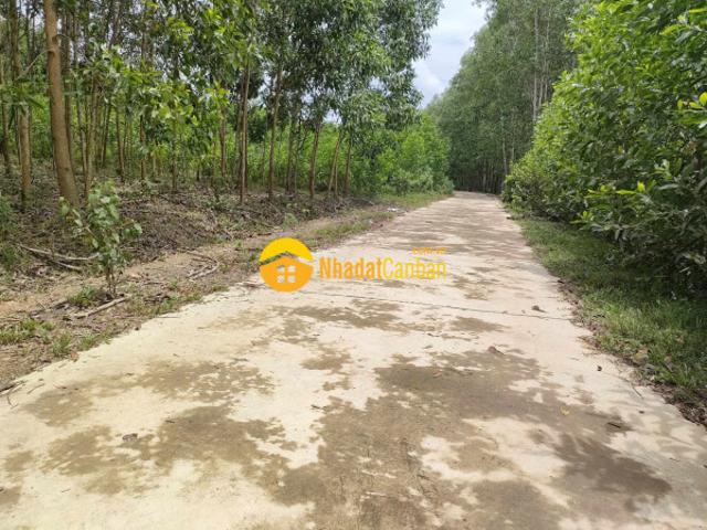 Mặt bằng bán