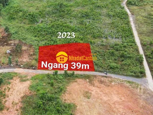 Mặt bằng bán