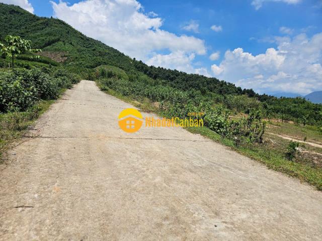 Mặt bằng bán