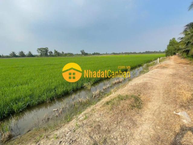 Mặt bằng bán