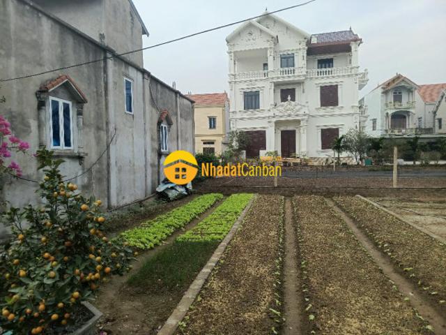 Mặt bằng bán