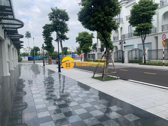 Biệt Thự bán
