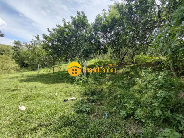 Mặt bằng bán