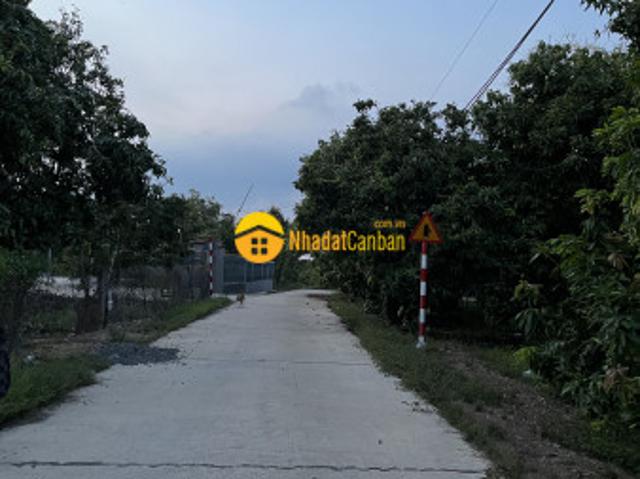 Mặt bằng bán