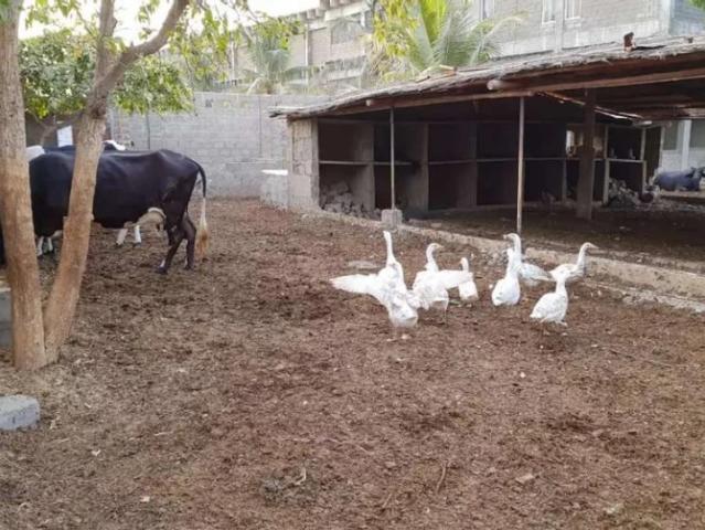 Land for sale in ضلع اورنگی, کراچی ڈویژن