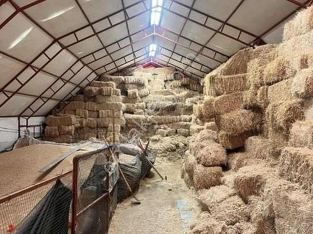 Avgan, Banaz içerisinde satılık Fabrika