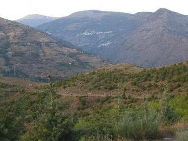 Casa en alquiler en Comarca de la Alpujarra Granadina, Andalucía