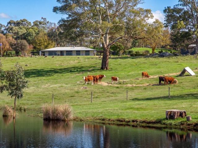 Cottage for sale in Woodside, South Australia