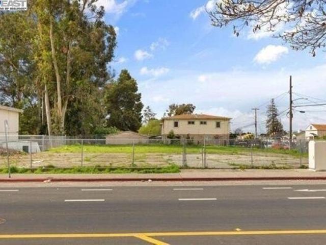 Land for sale in Oakland Land for sale in Oakland