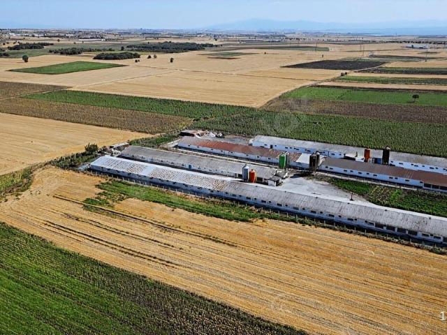 Kuşcenneti Mahallesi, Bandırma içerisinde satılık Arsa