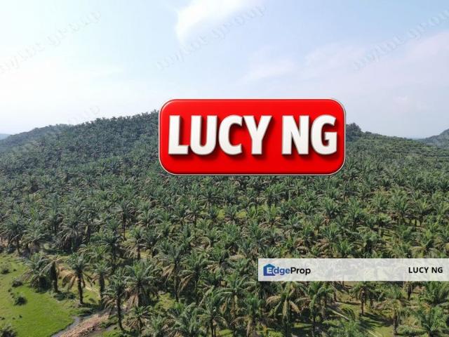 Shop for sale in Ladang Paya Serdang, Kedah