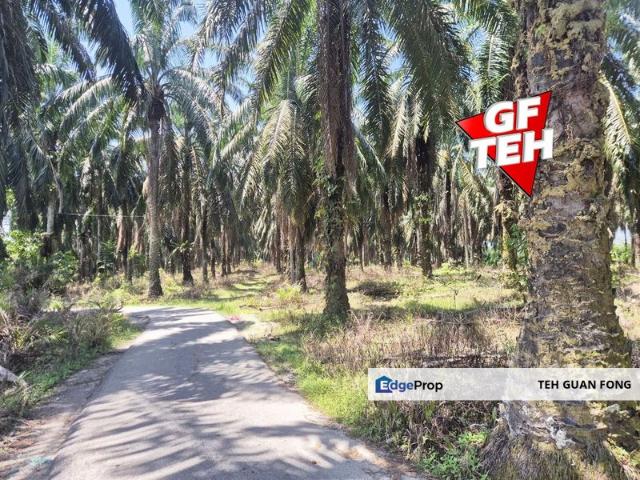 Shop for sale in Ladang Paya Serdang, Kedah