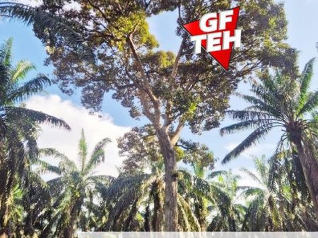 Shop for sale in Bandar Baharu, Kedah