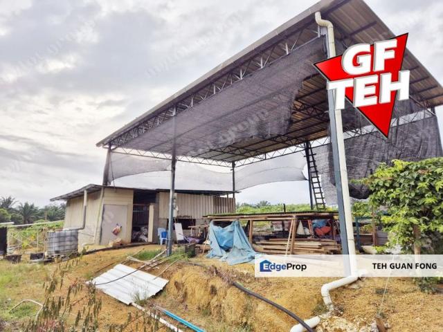 Shop for sale in Ladang Paya Serdang, Kedah