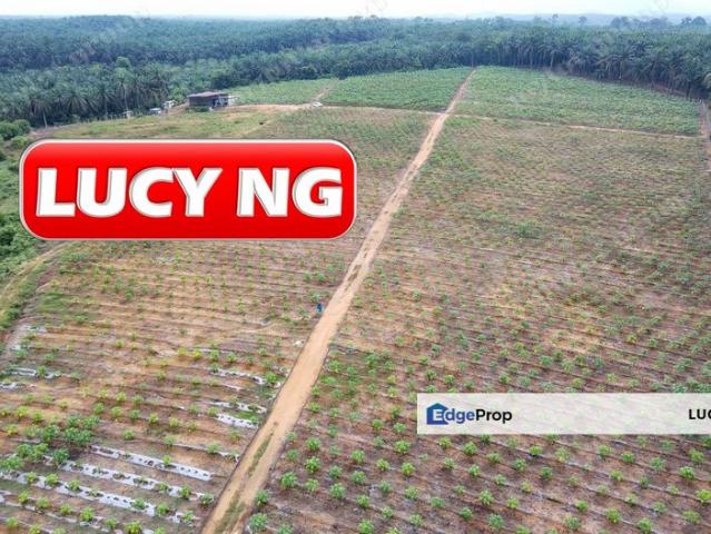 Shop for sale in Ladang Paya Serdang, Kedah
