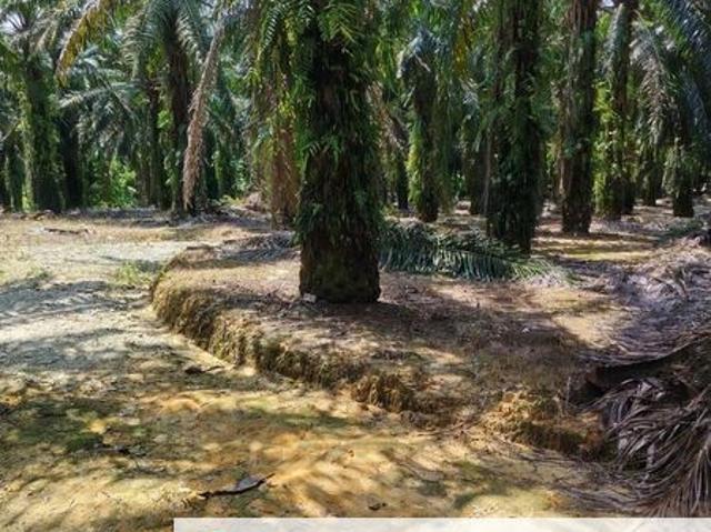 Shop for sale in Kulai, Johor