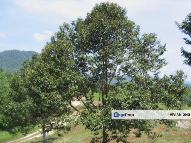 House for sale in Selayang, Selangor