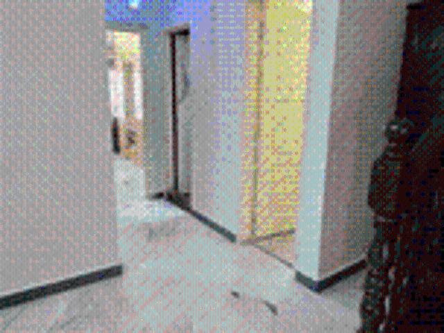 House for rent in Petaling, Subang Jaya