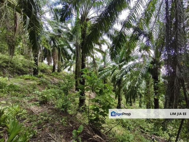 Shop for sale in Kluang, Johor