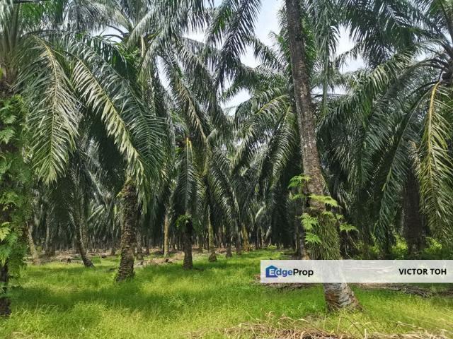 Shop for sale in Kluang, Johor