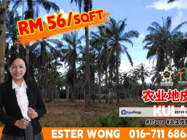 Shop for sale in Kulai, Johor