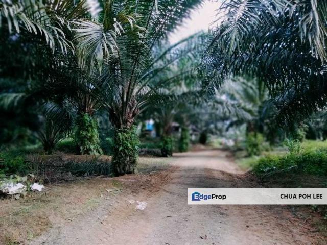 House for sale in Sabah
