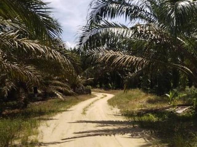 Shop for sale in Temerloh, Pahang