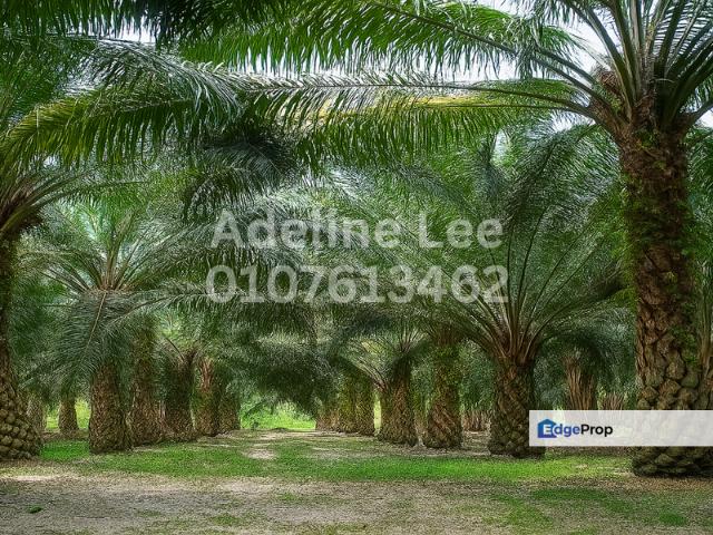 Shop for sale in Mersing, Johor