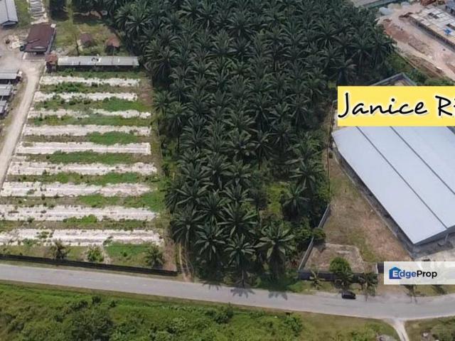 Shop for rent in Lunas, Kedah