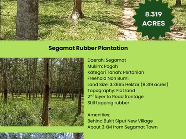 Shop for sale in Segamat, Johor