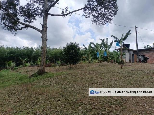 Shop for sale in Segamat, Johor