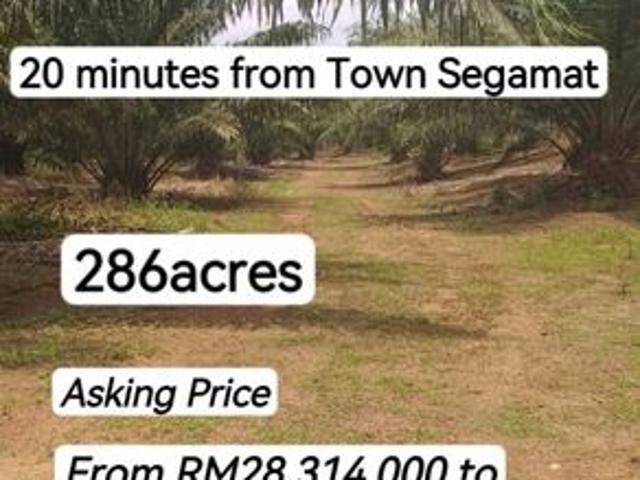 House for sale in Segamat, Johor