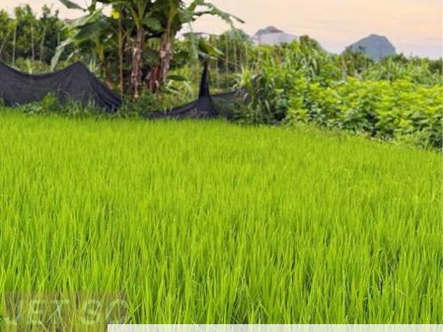 Shop for sale in Tanjong Sepat, Selangor