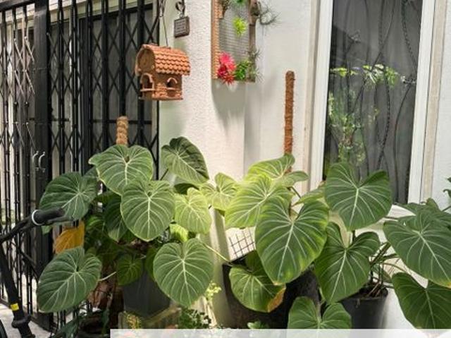 House for sale in Petaling, Damansara Damai