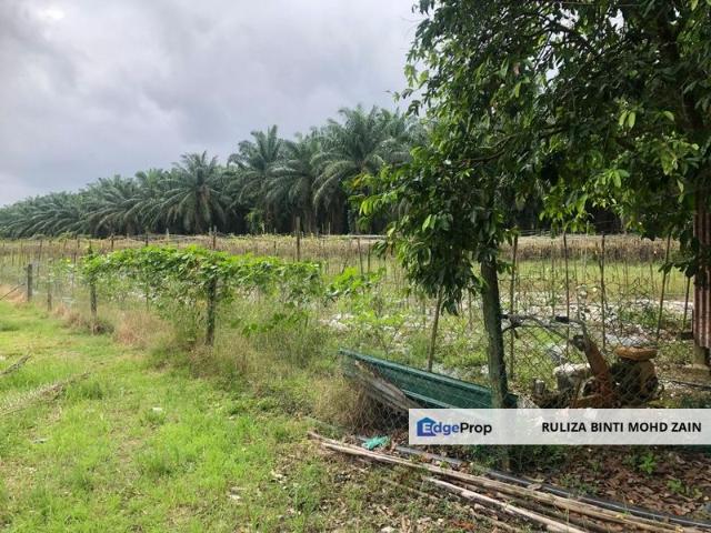 House for sale in Perak, Intan