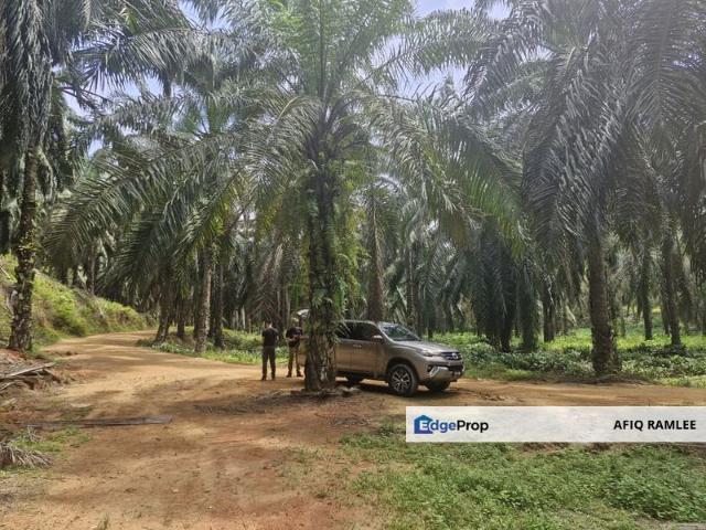 Shop for sale in Bandar Lama, Teluk Intan