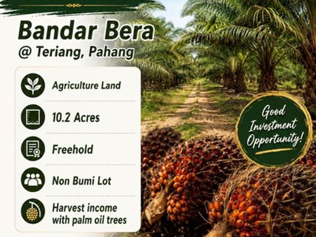Shop for sale in Pahang