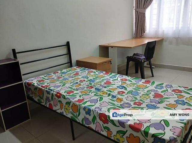 House for rent in Petaling, Damansara Damai