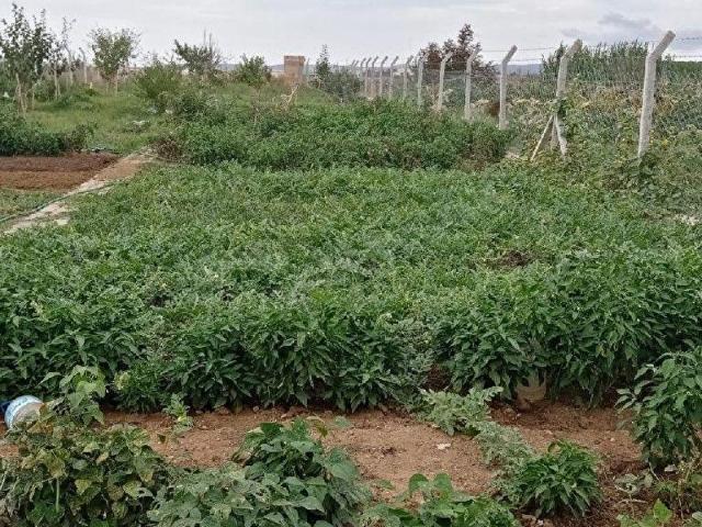 Bandirma, Balikesir içerisinde satılık Arsa