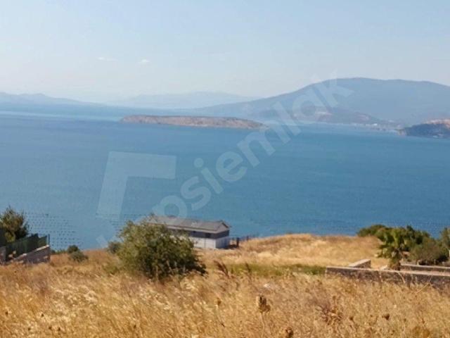 Hisar M., Bandırma içerisinde satılık mülk