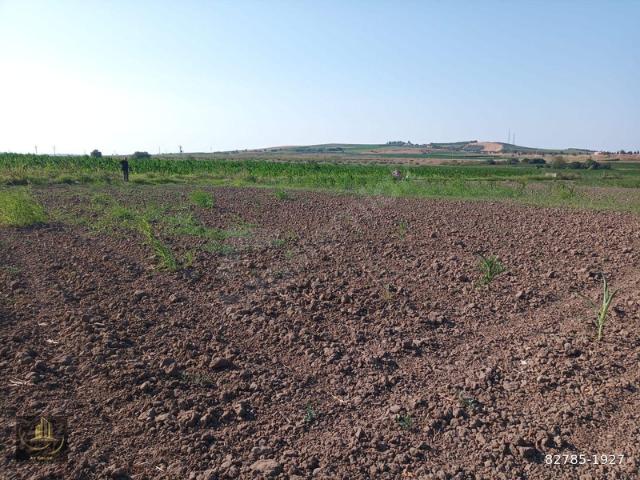 Karaçalılık Mahallesi, Bandırma içerisinde satılık Arsa